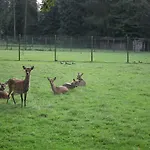 Goorzicht